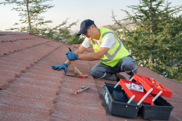 Best Commercial Roofing Services  in Meridianville, AL